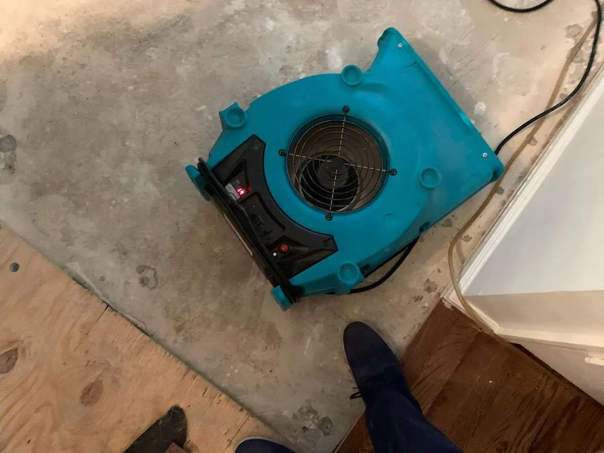 Air mover drying subfloor during Leak Detection & Repair in Edgewater