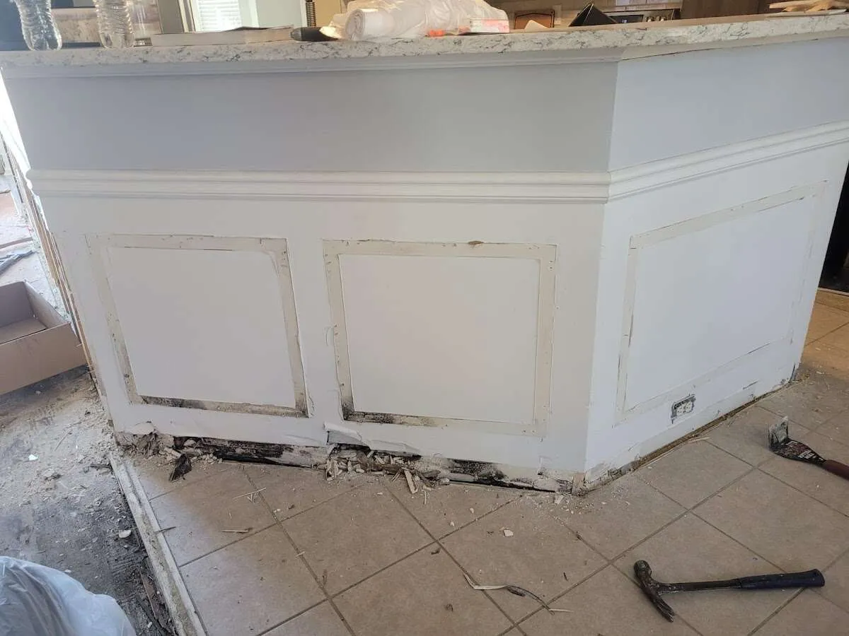 Water damage and mold on kitchen during Sewage Cleanup & Sanitation in Edgewater